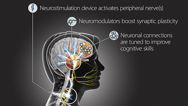 Chương trình TNT có thể giúp binh sĩ Mỹ học hỏi nhanh hơn. Ảnh: DARPA.