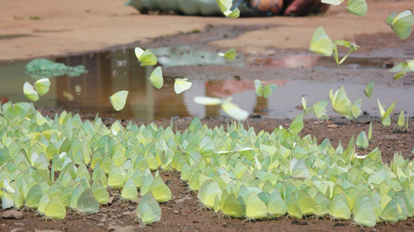 Đã đến lúc nên đóng cửa tính năng Facebook Live?