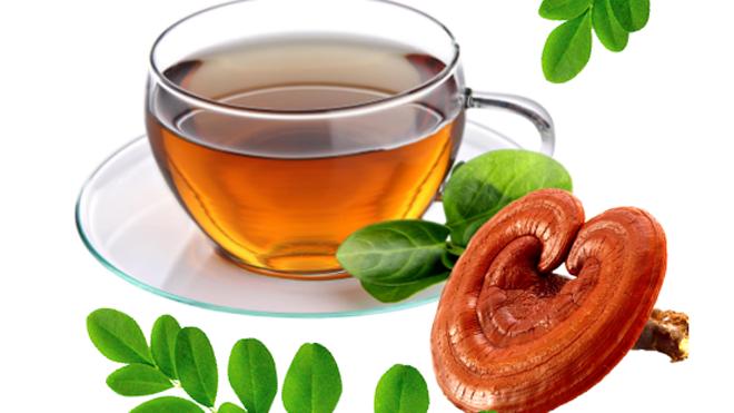 Nấm linh chi là vị thuốc bổ thường được bệnh nhân ung thư sử dụng. Ảnh: namlinhchi.