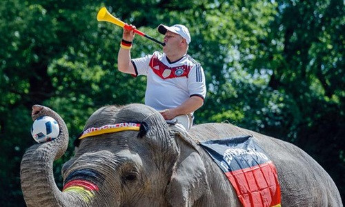 Các giải bóng đá luôn là thời điểm dễ kiếm tiền với rất nhiều người. Ảnh: DPA