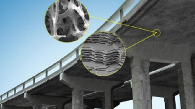 Xương và vỏ sò ốc có thể làm công thức bê tông mới