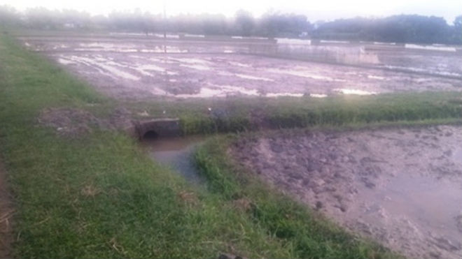 Người dân cần cảnh giác mỗi khi đi làm đồng gặp trời mưa to, kèm sấm chớp