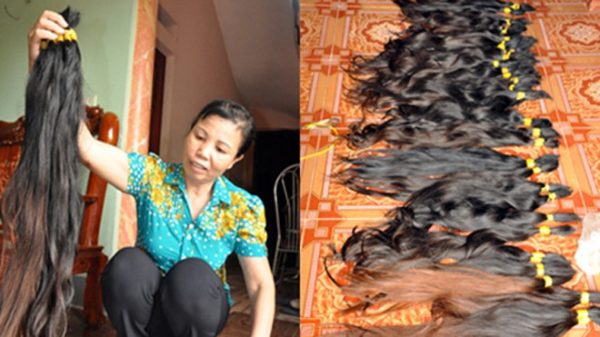Do điều kiện công tác, bà Nha đã trở thành chủ chuyên thu gom tóc. - Mỗi kg tóc có giá tới 7,6 triệu đồng.