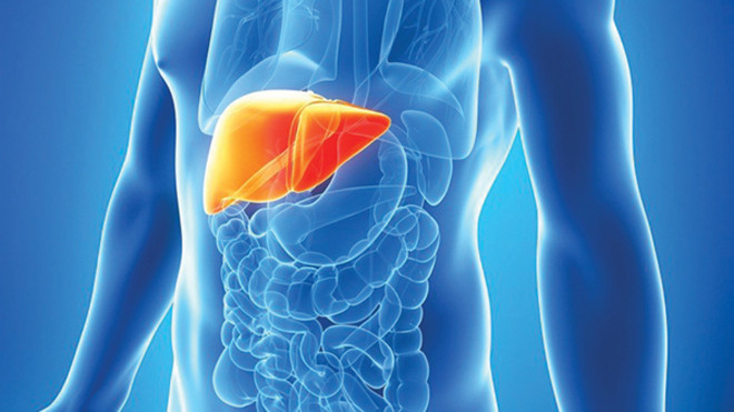 Cảnh giác với các thuốc gây độc cho gan