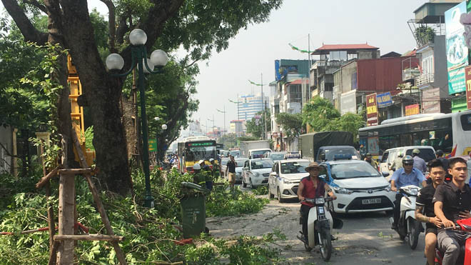 Chặt tỉa cây gây ùn tắc kéo dài trên đường Lê Duẩn sáng 28/7