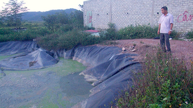 Hố biogas của trang trại lợn, nơi em Huyền gặp nạn. Ảnh: Đức Hùng