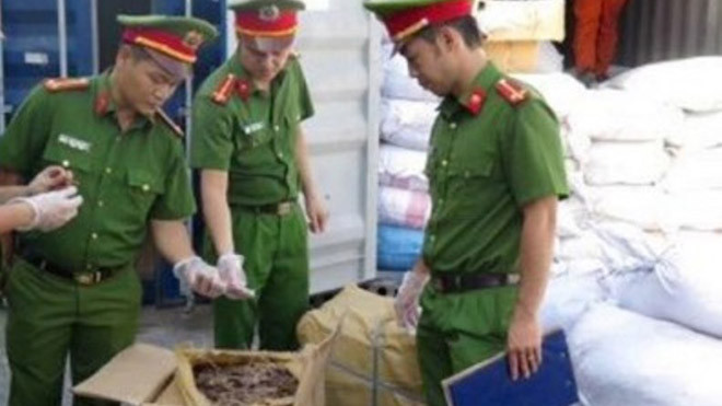 Lật tẩy lô hàng vảy tê tê giấu trong container đựng hoa hồng