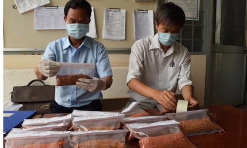 Cơ quan chức năng kiểm tra chất lượng ớt bột khô