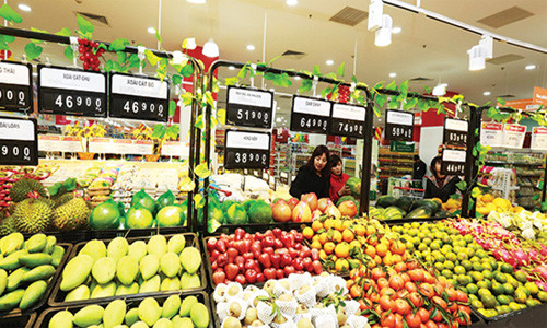 Nguồn thực phẩm sạch cho TPHCM