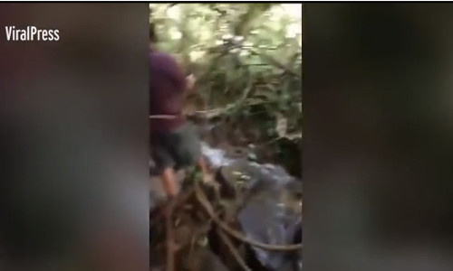 Xem dân làng liều mình quây bắt trăn khổng lồ