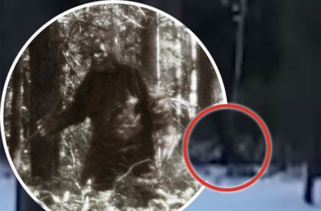 Hình ảnh sinh vật được cho là quái vật chân to.