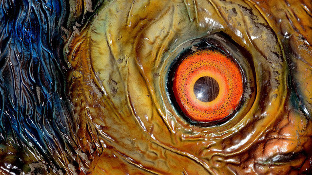 Một loài khủng long cổ dài khổng lồ mới được phát hiện.