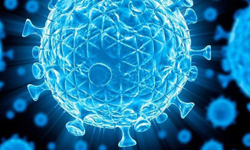 Các chủng HIV hiện đang biến hóa ra nhiều hình thái khác nhau với tốc độ rất nhanh