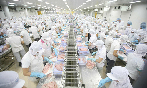 Thông tư 16 sửa đổi, bổ sung một số điều của Thông tư 48, quy định về kiểm tra, chứng nhận an toàn thực phẩm thủy sản xuất khẩu có hiệu lực từ 13/12/2018. (Ảnh minh họa)