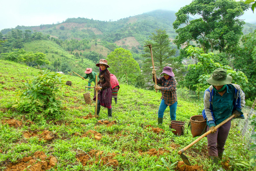 Hơn 870 người Lào di cư tự do và kết hôn không giá thú với công dân Việt Nam