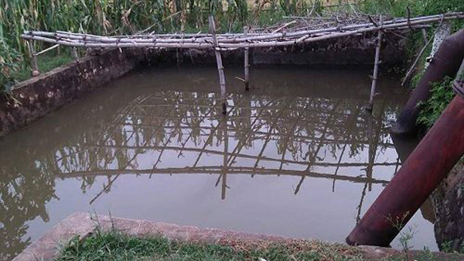 Hiện trường vụ việc.