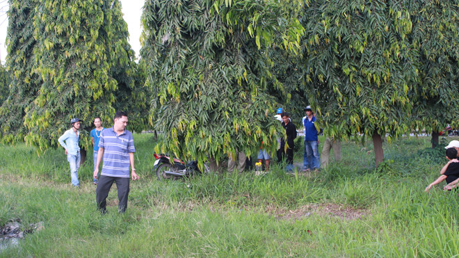 Kinh hãi phát hiện người phụ nữ nằm chết bên vệ đường