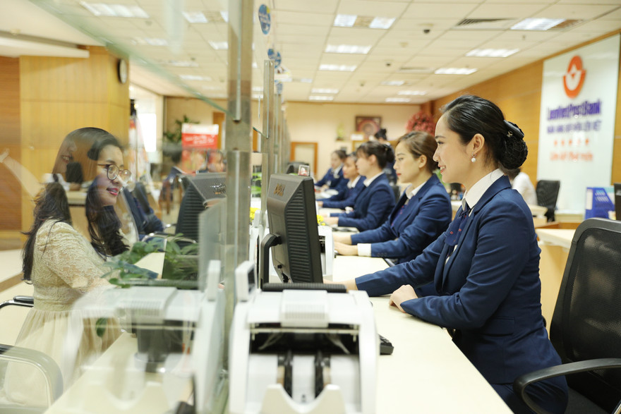 Câu chuyện về người nông dân làm giàu từ loại 'rau hoàng đế'