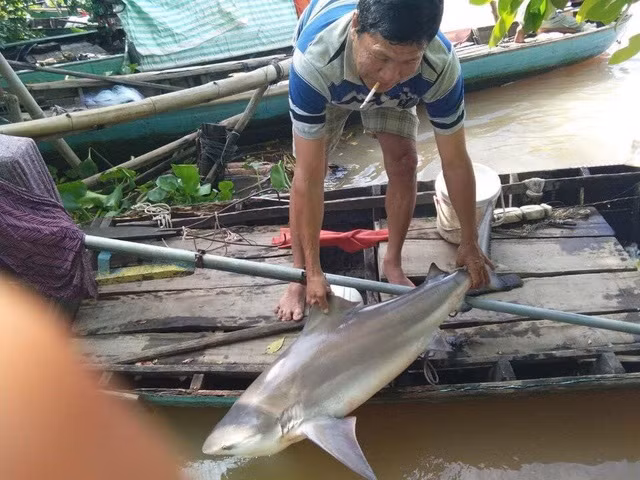 Ông Hùng bên con cá lạ vừa bị dính câu