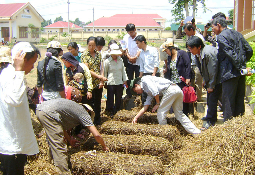 Qua học nghề giúp lao động nông thôn thoát nghèo
