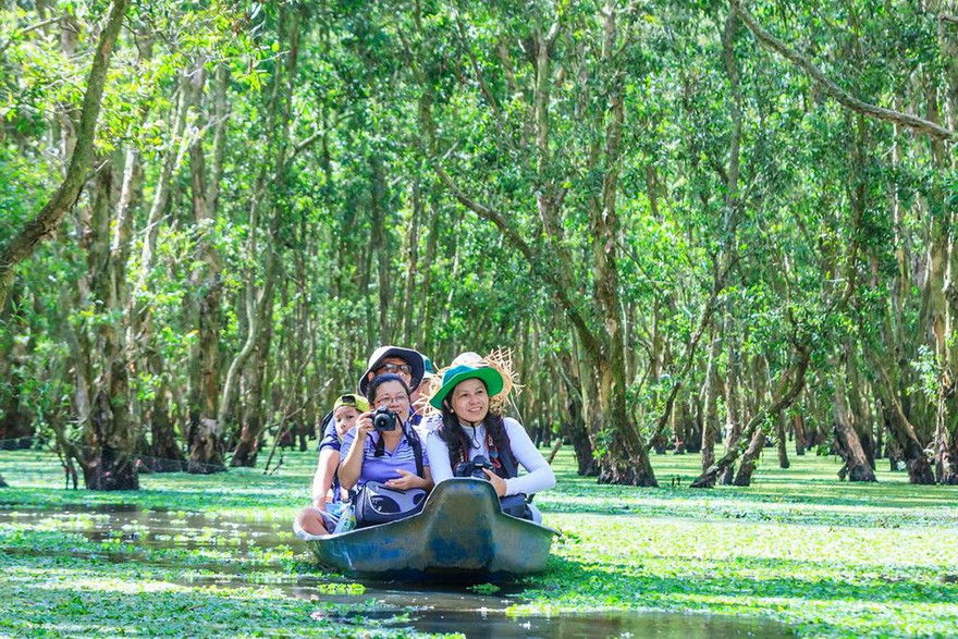 Du khách xuyên rừng tràm Trà Sư trên những thảm bèo (nguồn ảnh:internet)