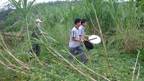 Người dân dùng vật dụng gõ tiếng động để xua voi dữ vào rừng. 