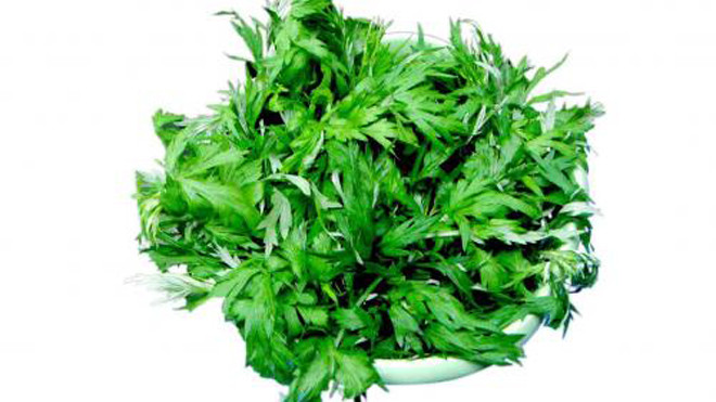 Mẹo hay sử dụng sử dụng ngải cứu để làm đẹp da