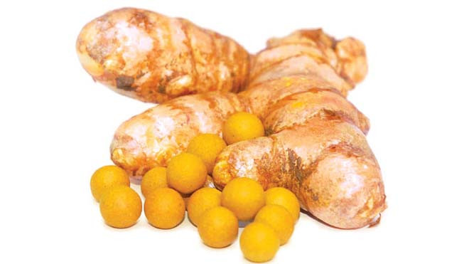 Ảnh: Thái Nguyên 