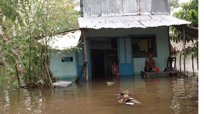 Vỡ đê ở Cần Thơ thiệt hại hàng trăm triệu đồng