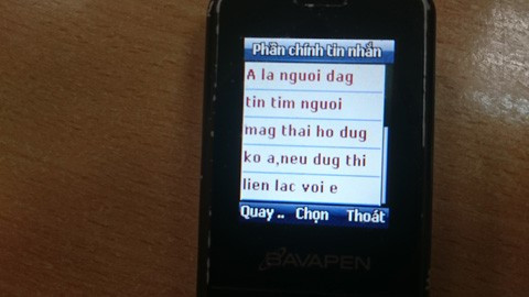 Yến chủ động nhắn tin cho các vợ chồng hiếm muộn cần mang thai hộ. 