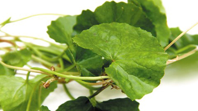 Những ai không nên ăn rau má?