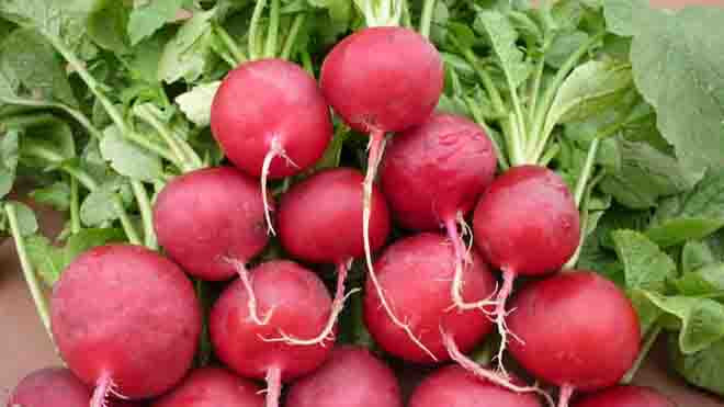 15 loại rau nên ăn vào mùa đông làm tăng khả năng miễn dịch