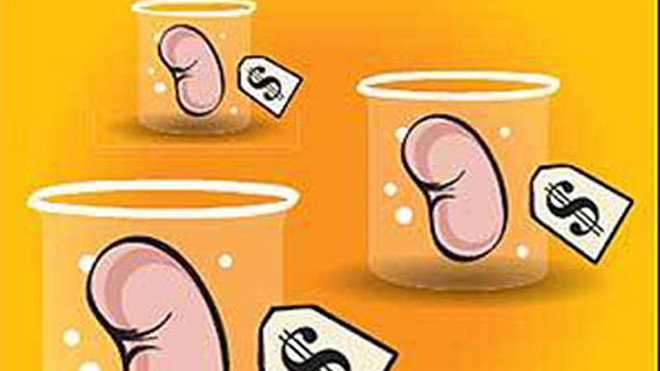 Buôn bán nội tạng sẽ để lại những hậu quả khôn lường (Ảnh minh họa)