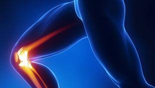 Hệ miễn dịch tấn công vào sụn khớp của chính cơ thể mình làm đẩy nhanh tiến trình thoái hóa khớp