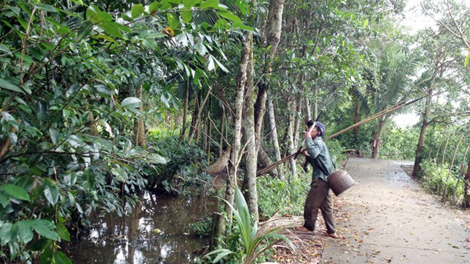 Ông Đoàn có đến 30 năm trong nghề săn tắc kè. 