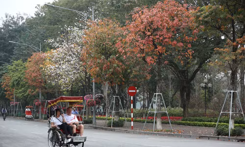 Hà Nội đang vào mùa cây thay lá với những màu sắc đẹp đến ngẩn ngơ.