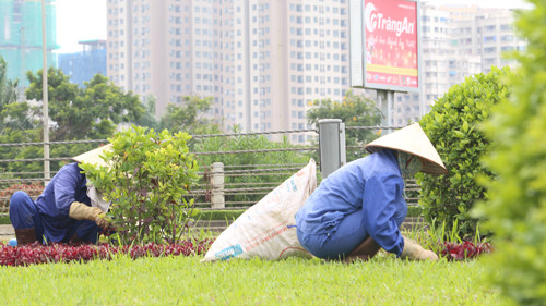 Chi phí cho việc cắt cỏ, cắt tỉa cây hoa cảnh tại đại lộ Thăng Long đang thu hút sự quan tâm dư luận. Ảnh: Ngọc Thành.