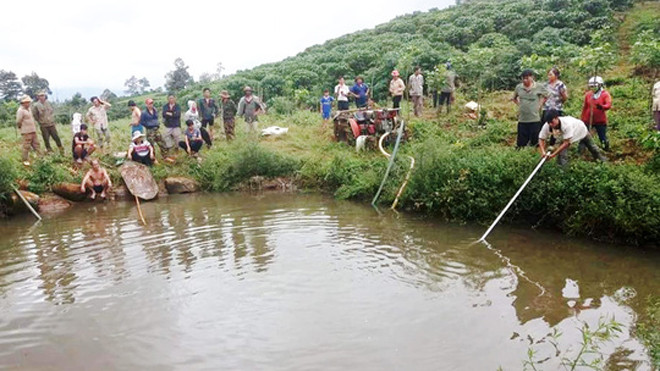 Hiện trường vụ quyên sinh.