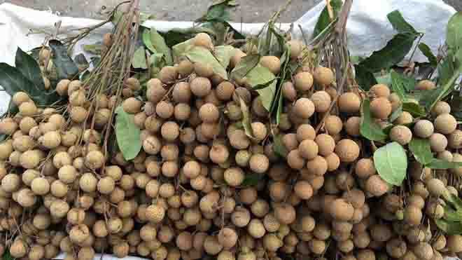 Nhãn bình thường sẽ có màu thâm xỉn