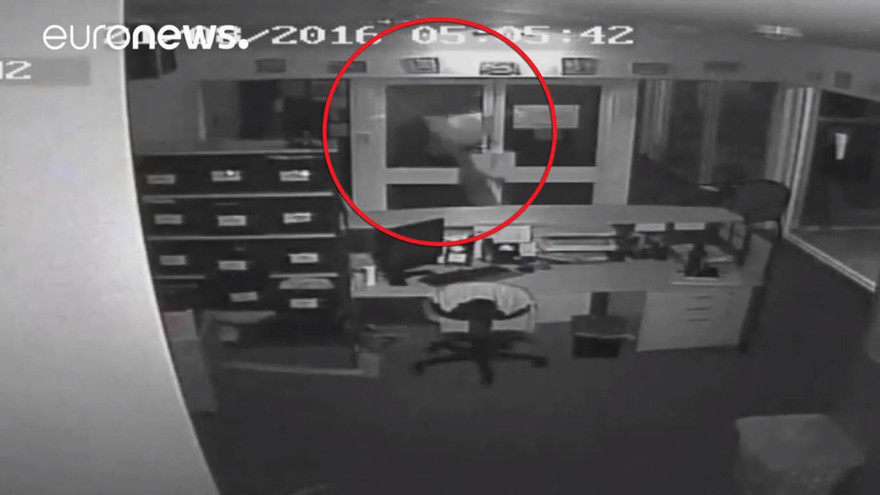 Kẻ trộm thả cá sấu vào trường học Australia