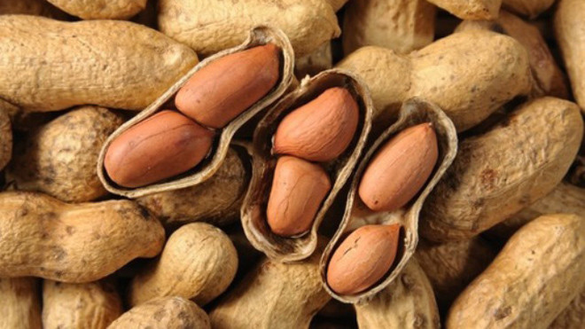 Lạc có nhiều công dụng đối với sức khỏe. (Ảnh minh họa)