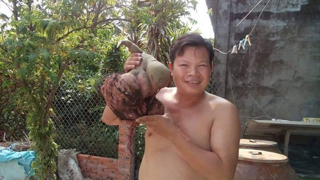 Anh Đức tỏ ra bất ngờ với củ khoai "khủng" mình vừa đào được