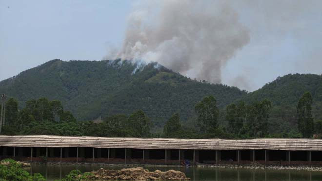 Cháy rừng ở Thanh Hóa