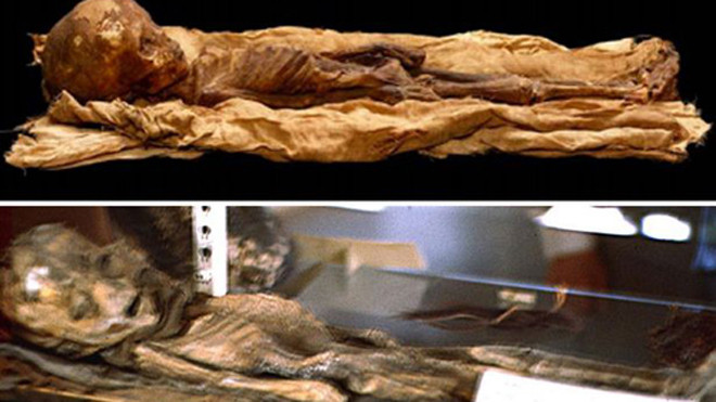 Hình ảnh thi thể một bé trai bị xác định nhầm lẫn là người ngoài hành tinh. Ảnh: NMNH Department of Anthroplogy