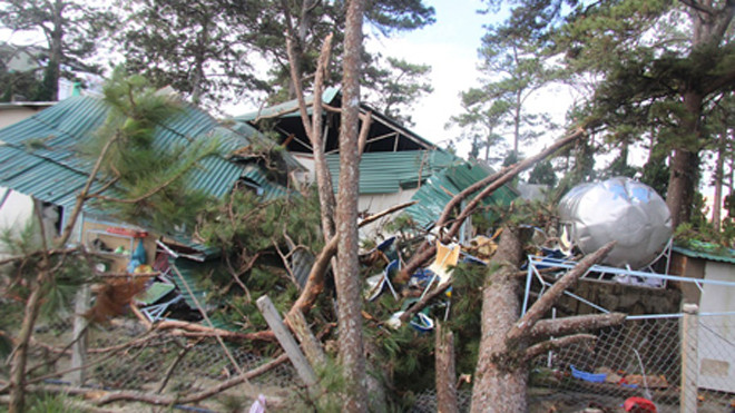 Mưa lớn kéo dài kèm gió mạnh, nhiều cây lớn bị quật ngã gây nguy hiểm cho mọi người.