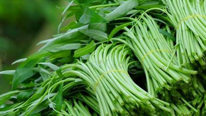 Rau muống. Hình minh họa.