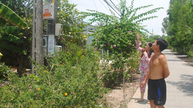 Hiện trường vụ tai nạn.