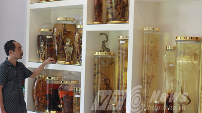 Anh Tuyền bên những bình rượu sâm tuyệt đẹp 