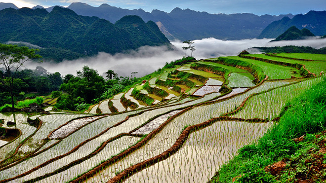 Vẻ đẹp ruộng bậc thang xứ Thanh
