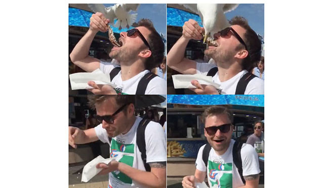 Kiểu ăn truyền thống của món này là cầm đuôi, dốc ngược con cá lên, ngửa cổ và từ từ cho thẳng vào miệng. Cũng chính vì cách ăn này, Calvin bị mất món ăn vào tay chú chim biển.